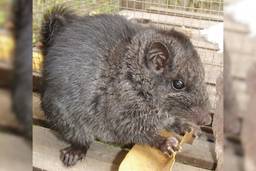 記事のアイキャッチ画像